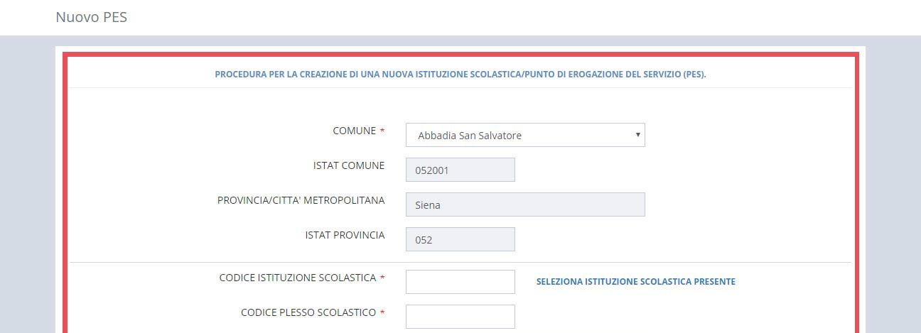 immagine pagina nuovo pes, finestra creazione, compilazione del form