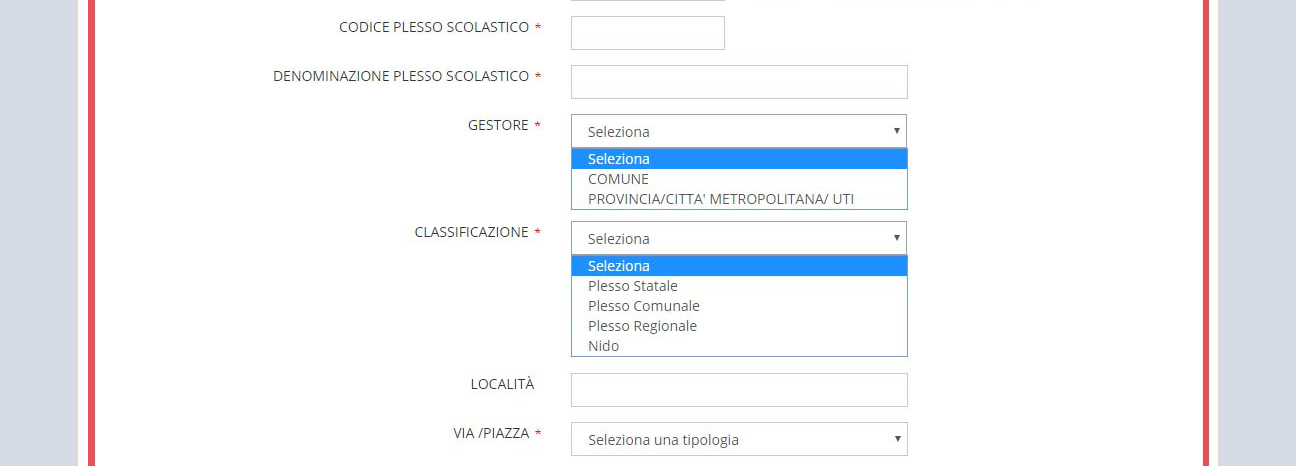 immagine pagina nuovo pes, finestra creazione, compilazione del form